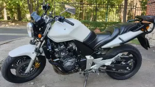 Biały motocykl Honda CBF 600, idealny do miasta i na trasy. Sprawdź honda cbf 600 dane techniczne i poczuj wolność na drodze!