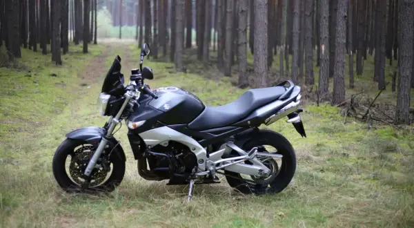 Suzuki GSR600 zaparkowany na leśnej ścieżce, otoczony sosnami.